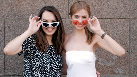 two happy friends posing for the camera wearing sunglasses