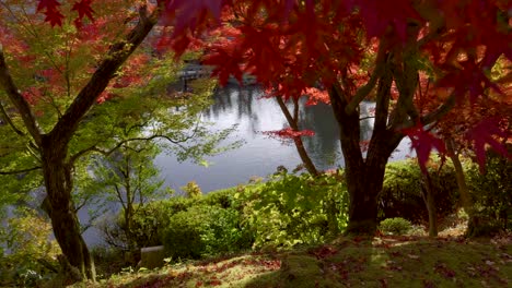 beautiful pond in japanese landscape garden with vibrant autumn colors