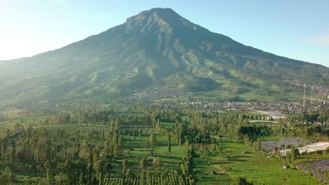 mount sumbing with rural view countryside and tobacco plantations