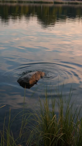 el tranquilo atardecer a orillas del lago