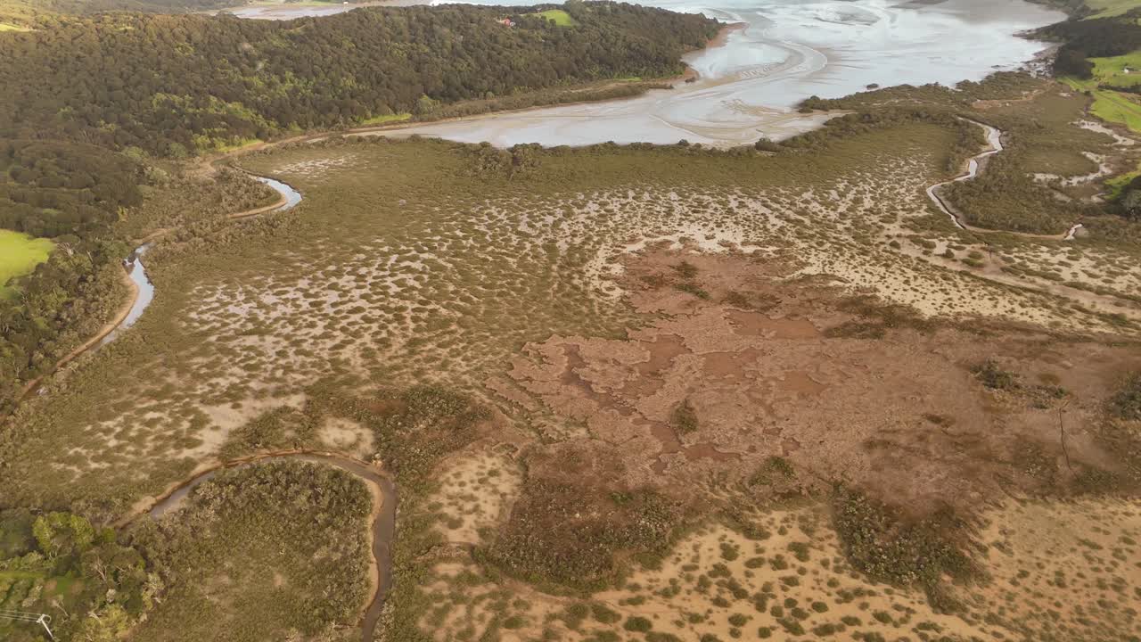 Coastal estuarine wetland landscape on waiheke island, New Zealand. Aerial tilt down. Swamp and river mouth at sunset time