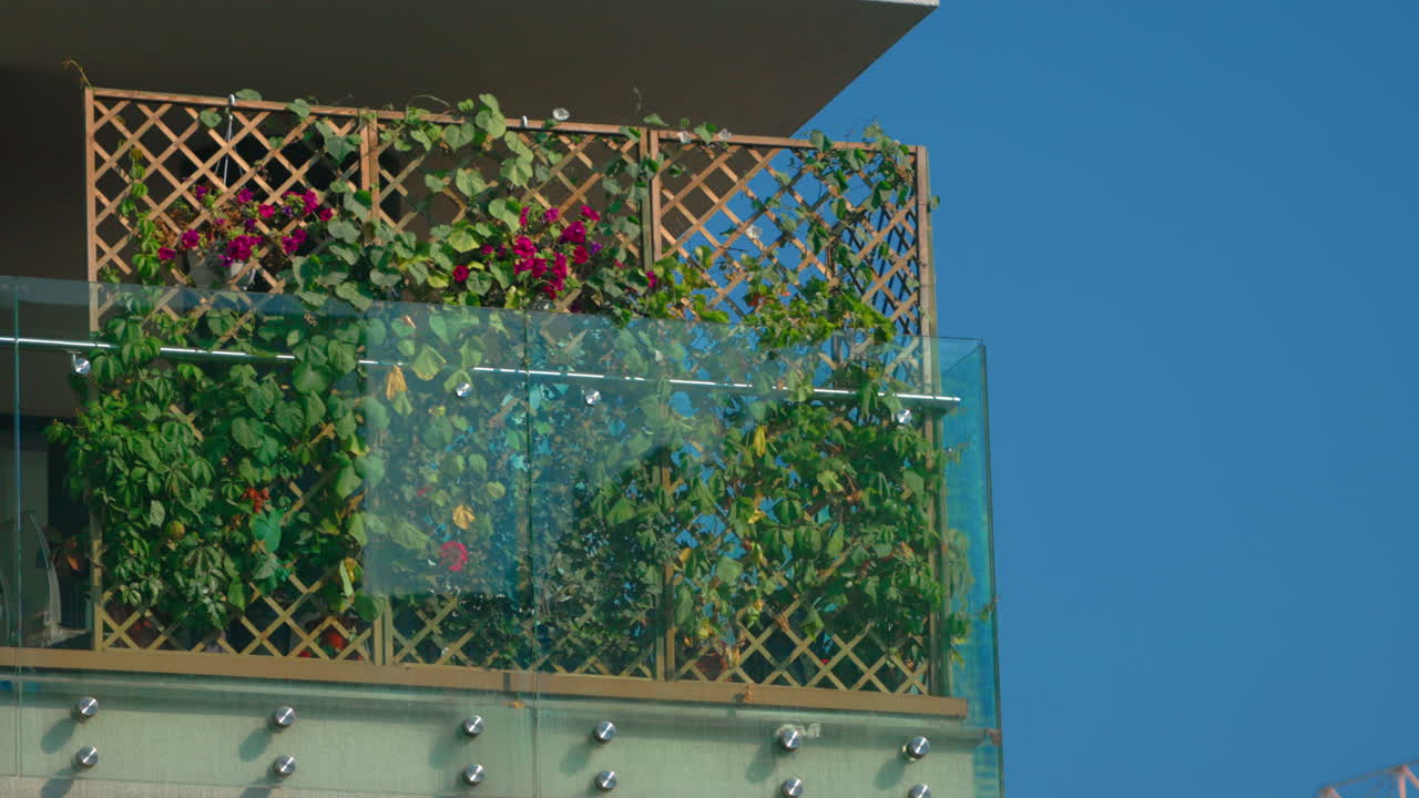 푸른 하늘을 배경으로 크레인이 움직이는 바람 부는 날 녹색 식물이 있는 주거용 테라스