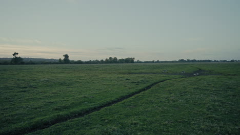 Sendero-Para-Caminar-En-Medio-De-Port-Meadow,-Oxford