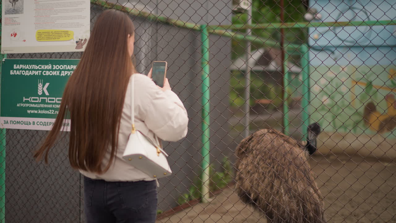 Mulher fotografando um emu através de uma cerca, recinto de zoológico urbano, cabelo castanho comprido, jaqueta puffer, segurando um telefone, postura cautelosa perto da barreira de tela, sinalização para visitantes, tons terrosos, céu nublado, curiosa