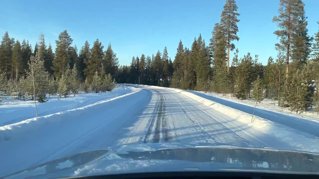 POV dall'auto che guida lungo la strada innevata, costeggiando la foresta di pini in Lapponia, Finlandia.