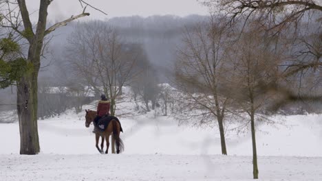 Una-Mujer-Solitaria-Sobre-Un-Caballo-Con-Ropa-De-Montar-En-Un-Paisaje-Invernal