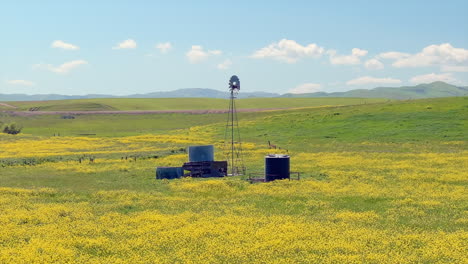 Molino-De-Viento-De-Campo-Antiguo-En-Un-Campo-De-Flores-Silvestres-Amarillas---órbita-De-Paralaje-Aéreo