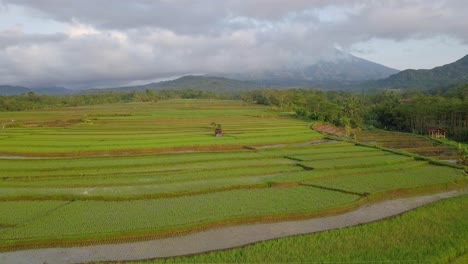 Vista-Aérea-De-Campos-De-Arroz-En-Terrazas-Con-Una-Montaña-Cubierta-De-Nubes-En-El-Fondo-En-Magelang,-Indonesia