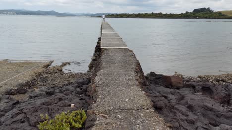 wide shot of a bridge, lake, river - beach