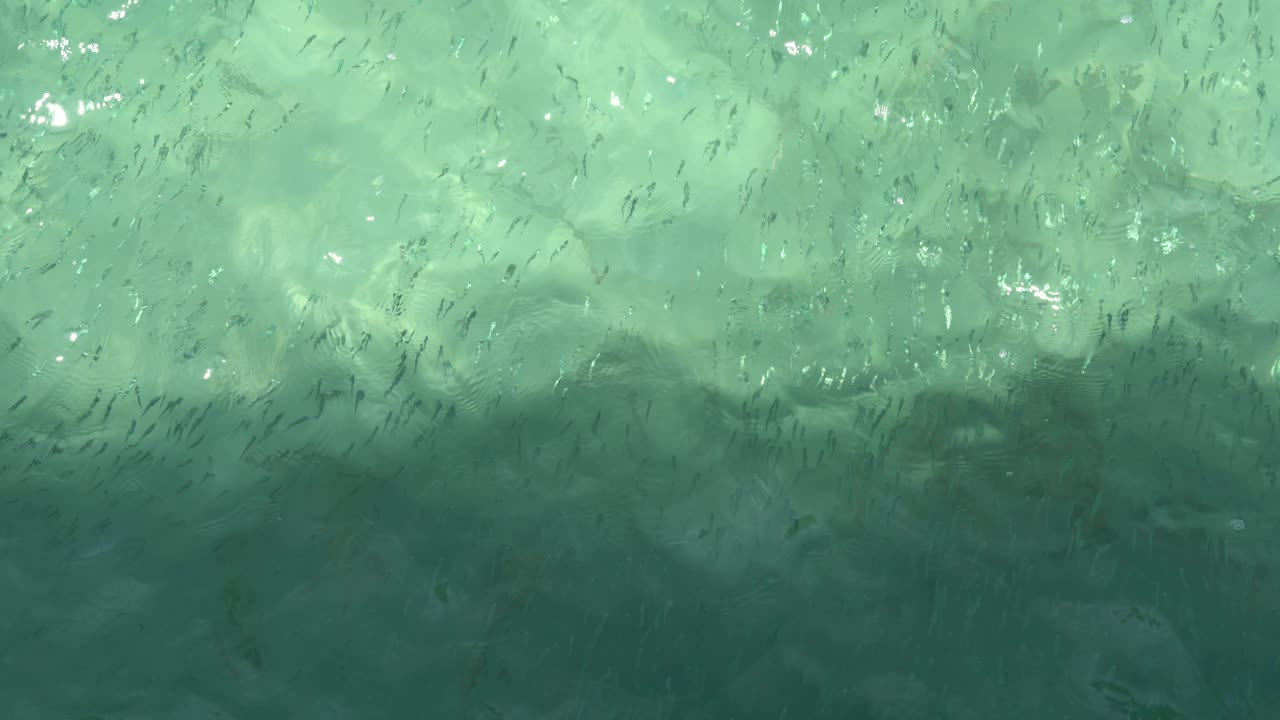 superficie de agua de una piscina azul en un día soleado en dos palmas resort en puerto princesa, palawan, filipinas