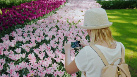 Frau-Fotografiert-Rosa-Tulpen