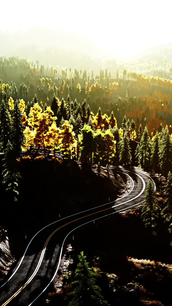 가을의 숲을 가로지르는 휘어지는 길