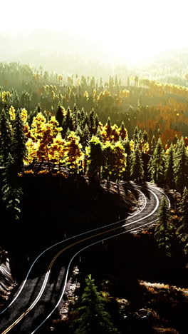 winding road through autumn forest