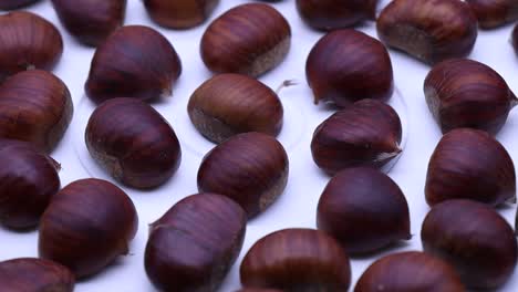 raw chestnuts rotating on a turntable