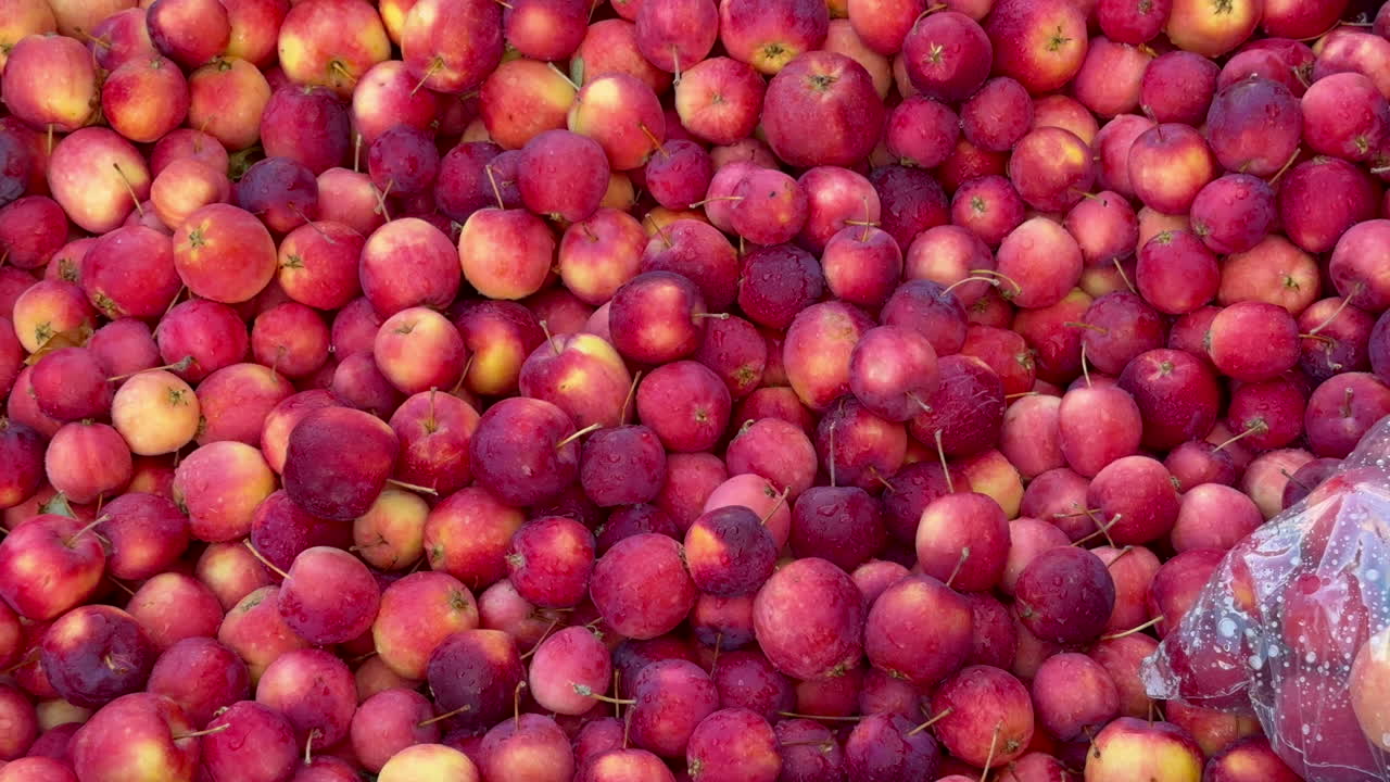 manzanas dulces y maduras con imperfecciones y texturas naturales