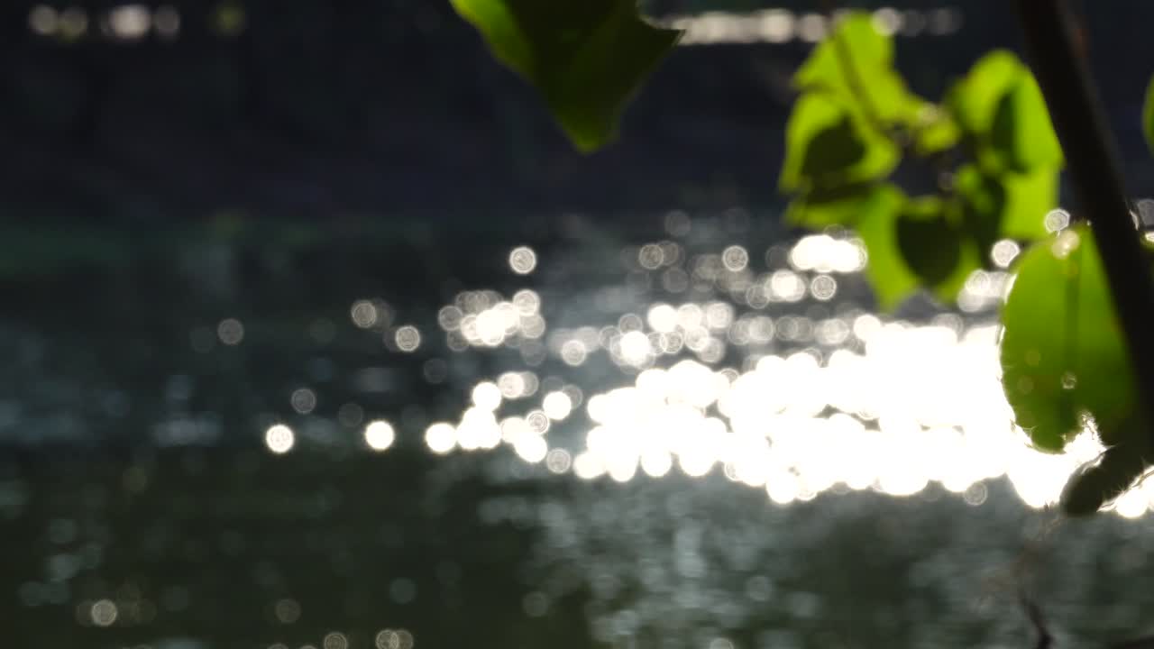 fondo bokeh naturaleza verde abstracto en verano belleza agua luz brillante borrón