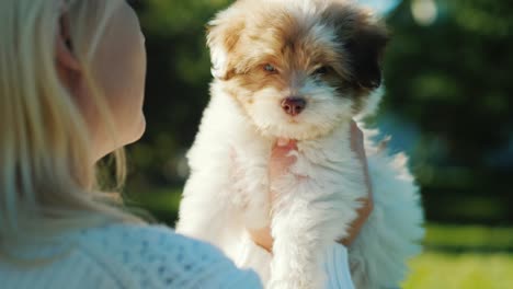 una mujer está mirando a un pequeño cachorro. vista trasera sobre el hombro