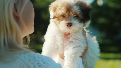 a woman is looking at a little puppy. rear view over shoulder