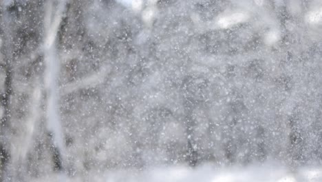 paisaje de invierno durante las nevadas. fondo abstracto de navidad de invierno en súper cámara lenta.
