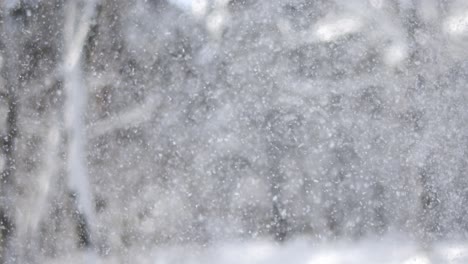 winter landscape during snowfall. winter christmas abstract background on super slow motion.