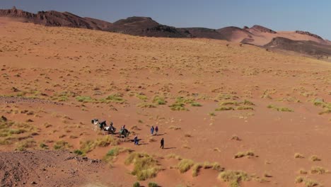 drone view over camel caravan through moroccan desert