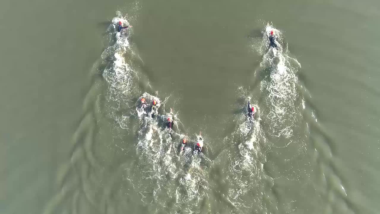 Aerial view of swimmers in the water in competition.