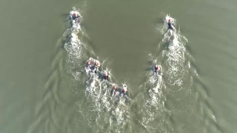 aerial view of swimmers in the water in competition.