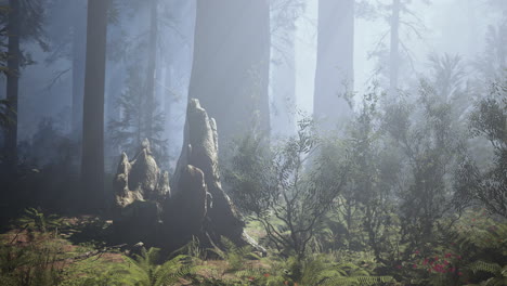 Classic-view-of-famous-giant-sequoia-trees