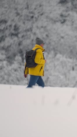 person walking in the forest