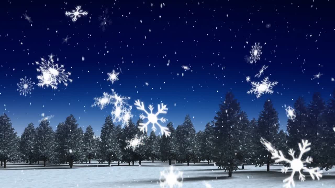 눈이 내리고 소나무들이