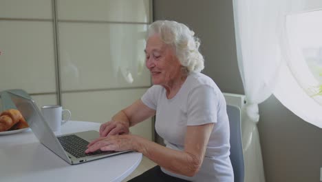 senior woman having video call on laptop.