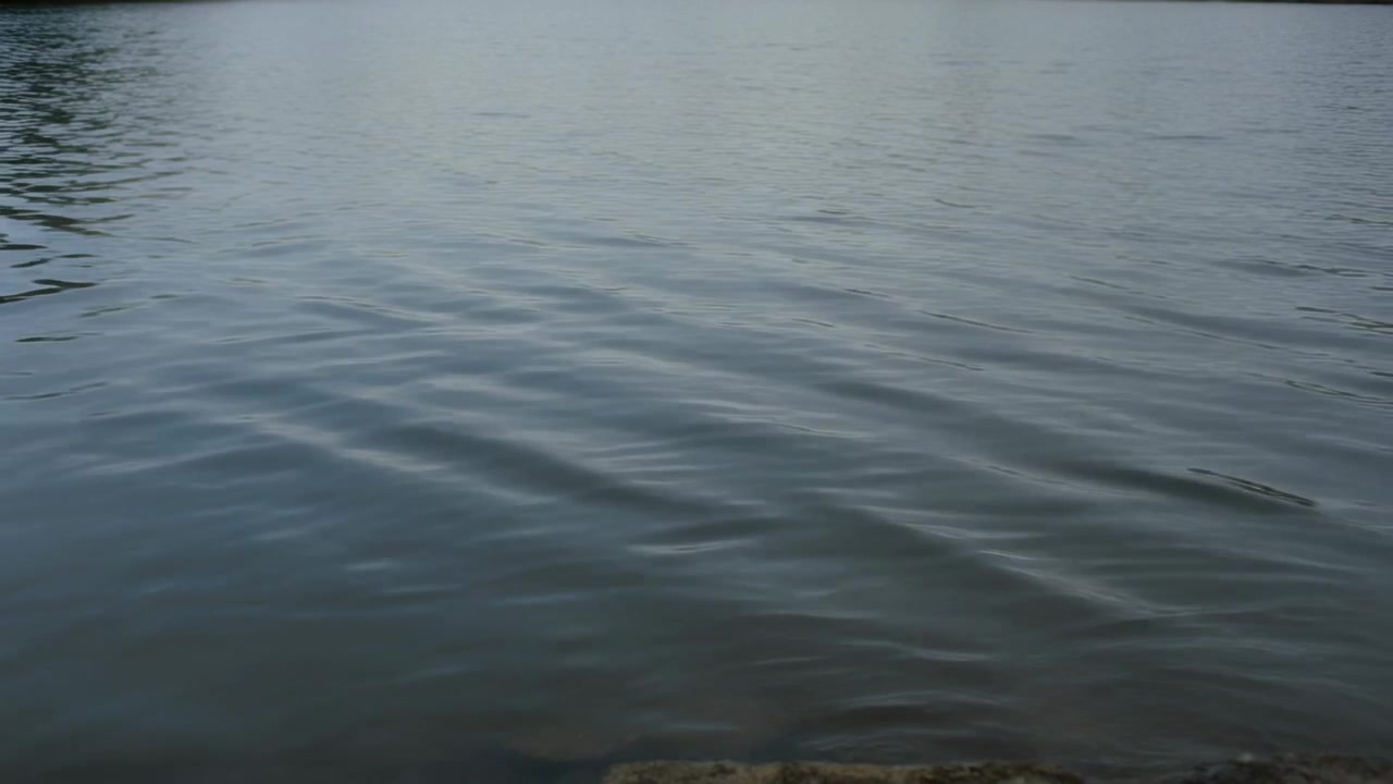 Una ligera brisa crea pequeñas ondulaciones en la superficie tranquila del agua en el borde del estanque, con reflejos de la orilla rocosa.