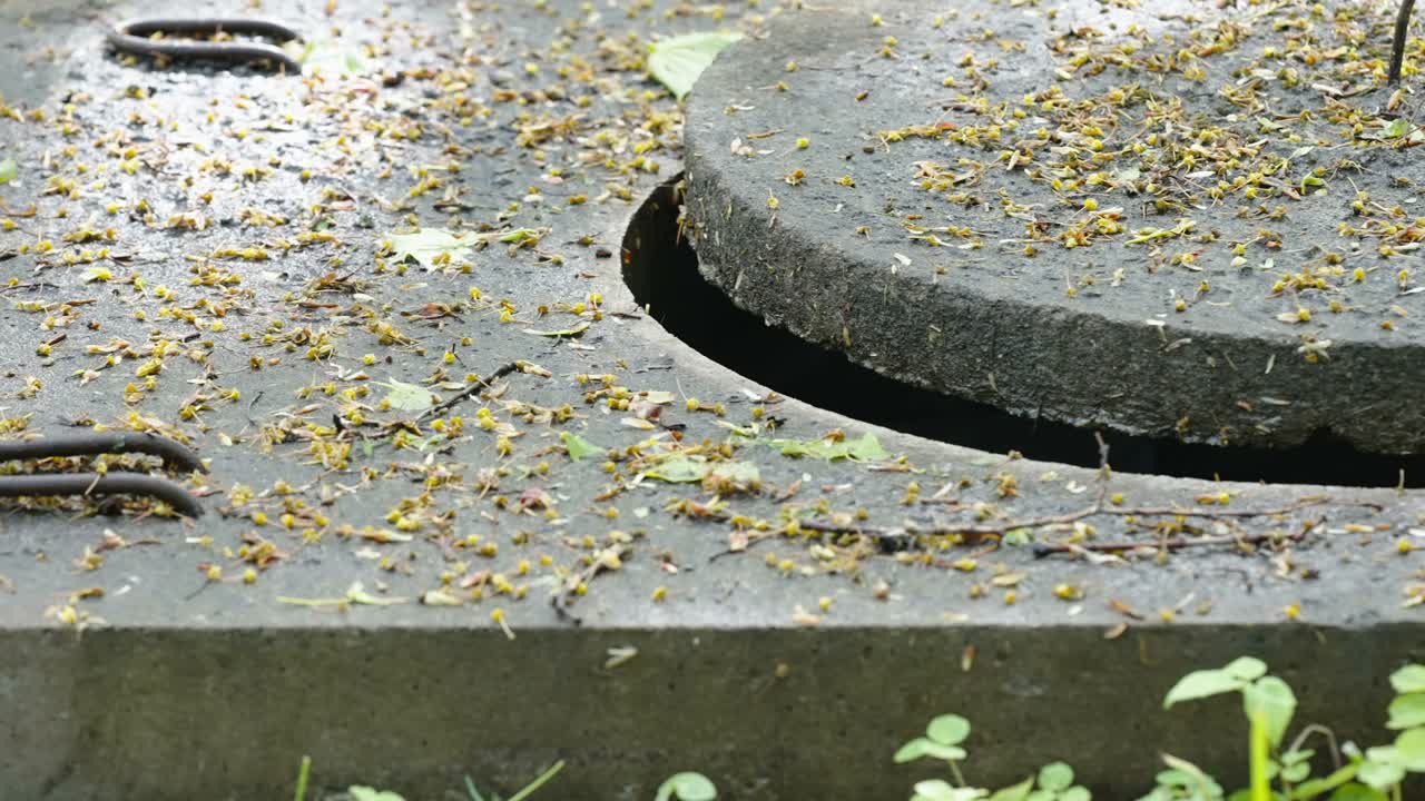 에스토니아의 개방된 맨홀에 어져 있는 잎들