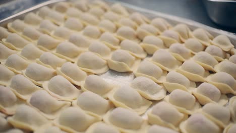 raw dumplings on a tray