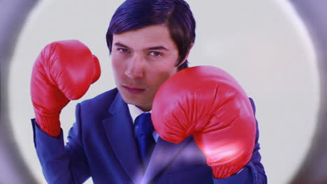 videos of business people boxing