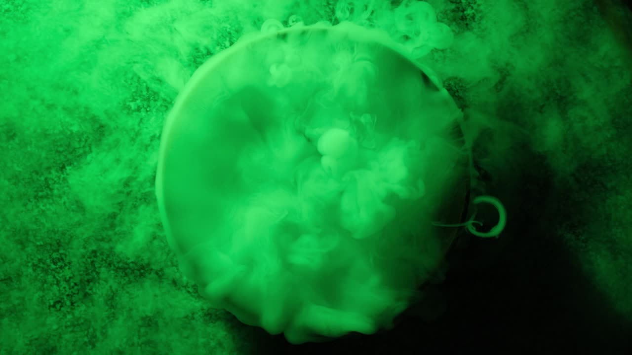 Texture of colored smoke close up. View from above