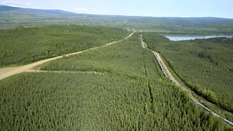 alaska - boreal spruce forest and yukon river landscape around pipeline - road, aerial drone