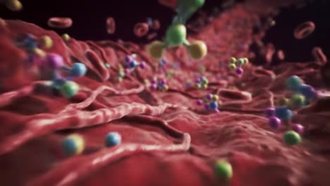 exploring the intricate world of blood vessels and molecules: a visual journey through cellular interactions and dynamic molecular movements in the human body