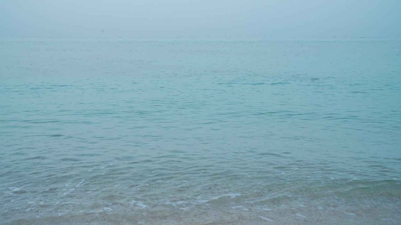 Turtle head on surface sea shallow hawksbill Iran UAE Qatar nature wildlife landscape dreamy light blue scenic beach morning summer minimal travel tropical climate Qeshm island wildlife saudi tourism