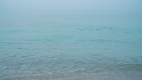 Schildkrötenkopf-Auf-Der-Oberfläche-Des-Meeres-Seicht-Karettschildkröte-Iran-Vereinigte-Arabische-Emirate-Katar-Natur-Tierwelt-Landschaft-Verträumt-Hellblau-Malerischer-Strand-Morgen-Sommer-Minimal-Reise-Tropisches-Klima-Insel-Qeshm-Tierwelt-Saudi-Tourismus