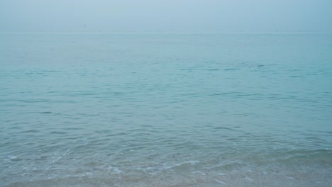 turtle head on surface sea shallow hawksbill iran uae qatar nature wildlife landscape dreamy light blue scenic beach morning summer minimal travel tropical climate qeshm island wildlife saudi tourism
