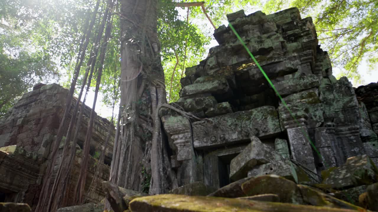 Slow zoom out reveals ancient tree roots engulfing mossy ruins, Ta Prohm temple