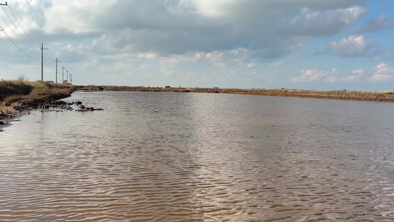 Água Calma em uma Paisagem de Sapal