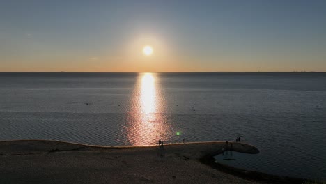 Pelicans-fishing-along-Daphne-shores-on-Mobile-Bay,-Alabama