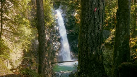 waterfall through trees at sunset