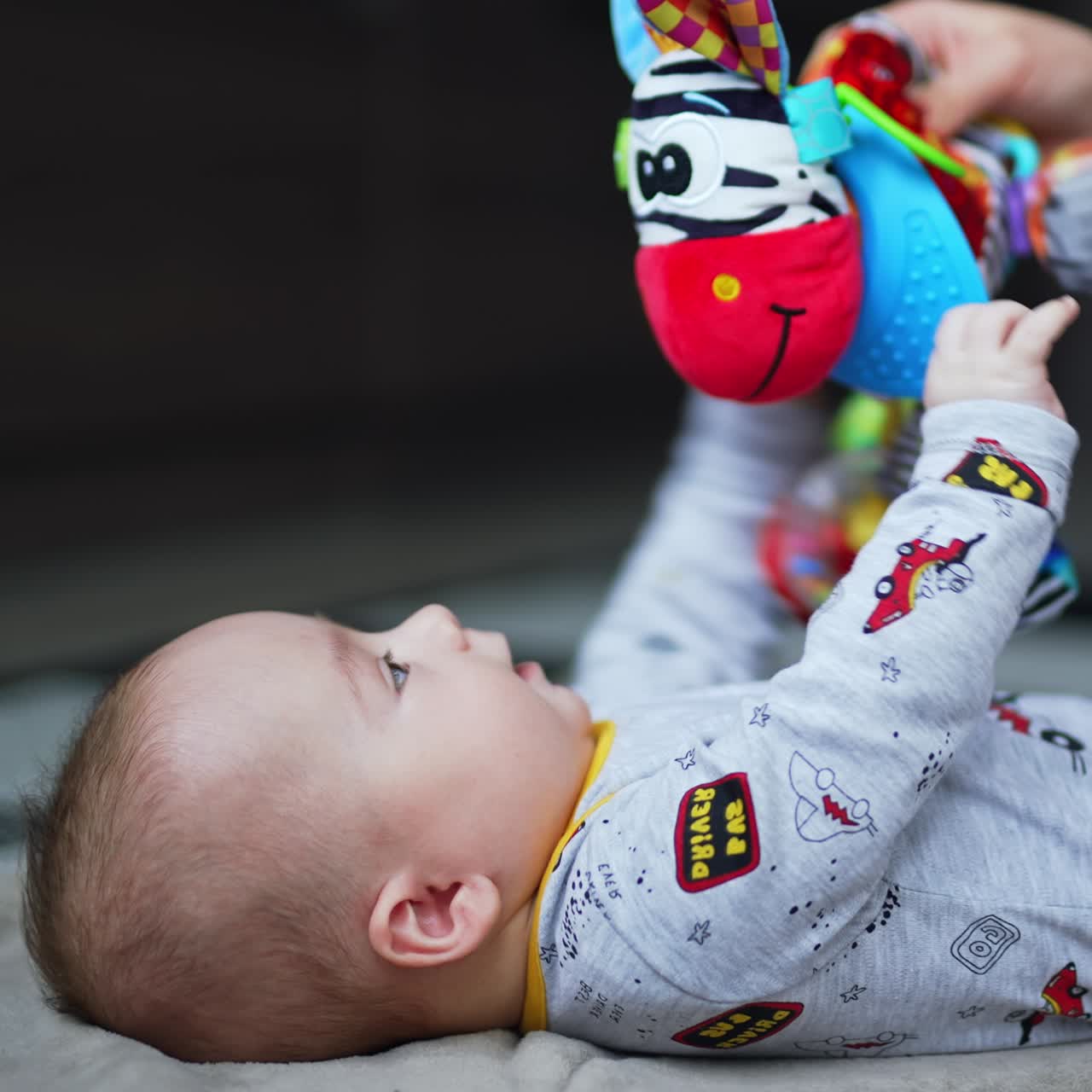 Few months old baby is trying to catch a bright zebra toy. Mom is holding a toy over a child to entertain him. Side view