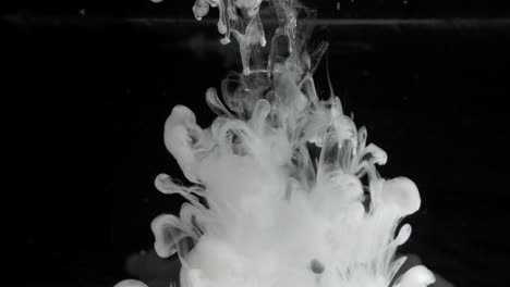 white ink effect in water filmed on black background