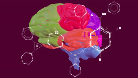 animación del procesamiento de datos científicos en el cerebro humano