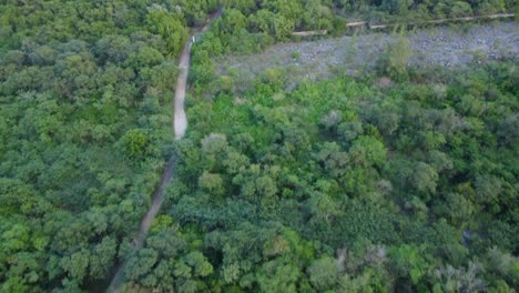 Fascinante-Viaje-A-Través-Del-Dosel-De-Un-Denso-Bosque,-Con-Una-Perspectiva-Incomparable-De-La-Belleza-De-La-Naturaleza-Desde-Arriba