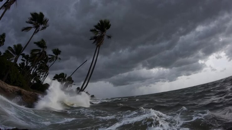 Prise de vue vidéo spectaculaire en contre-plongée de vagues océaniques déferlant sur une côte bordée de palmiers sous un ciel sombre